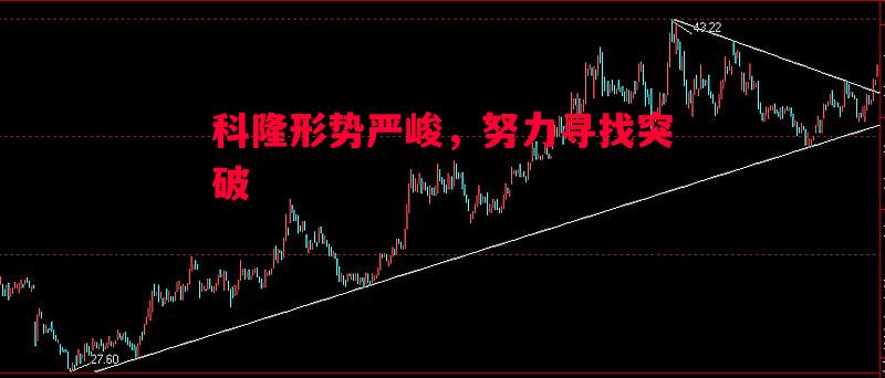 科隆形势严峻,努力寻找突破 科隆形势严峻,努力寻找突破