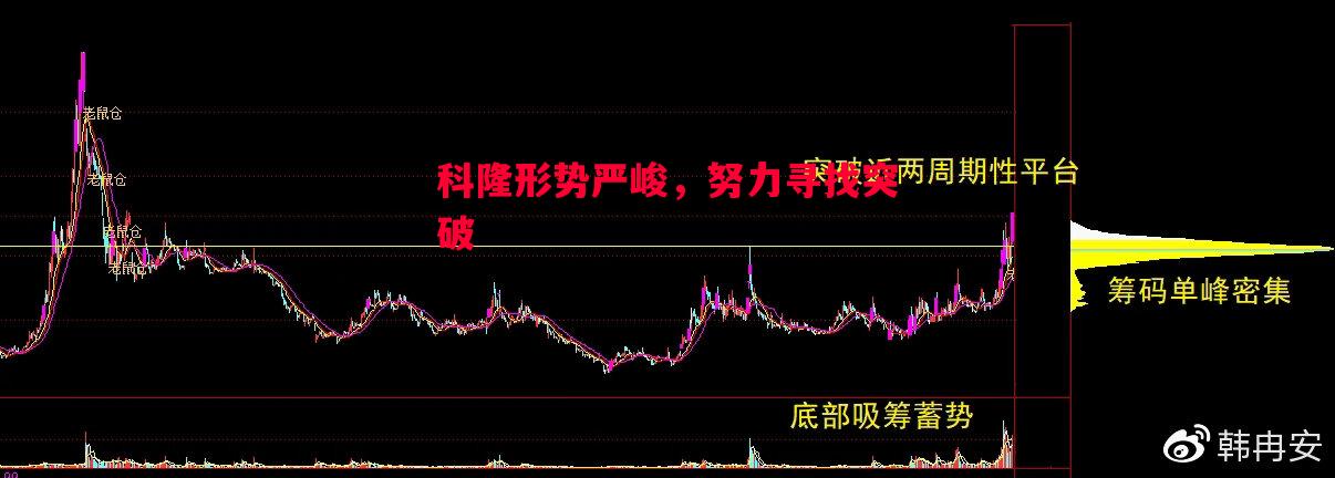 科隆形势严峻,努力寻找突破 科隆形势严峻,努力寻找突破