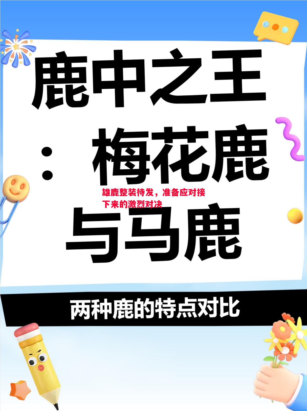 悟空体育-雄鹿整装待发，准备应对接下来的激烈对决