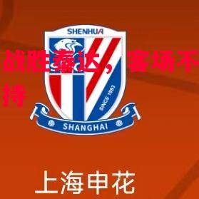 申花战胜泰达，客场不败全面维持
